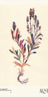 Watercolor print collection. Flower market - Austin - Posterbox
