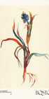 Watercolor print collection. Flower market - Boston - Posterbox