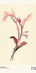 Watercolor print collection. Flower market - Paris - Posterbox