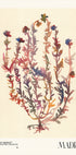 Watercolor print collection. Flower market - Madrid - Posterbox