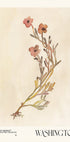 Watercolor print collection. Flower market - Washington - Posterbox
