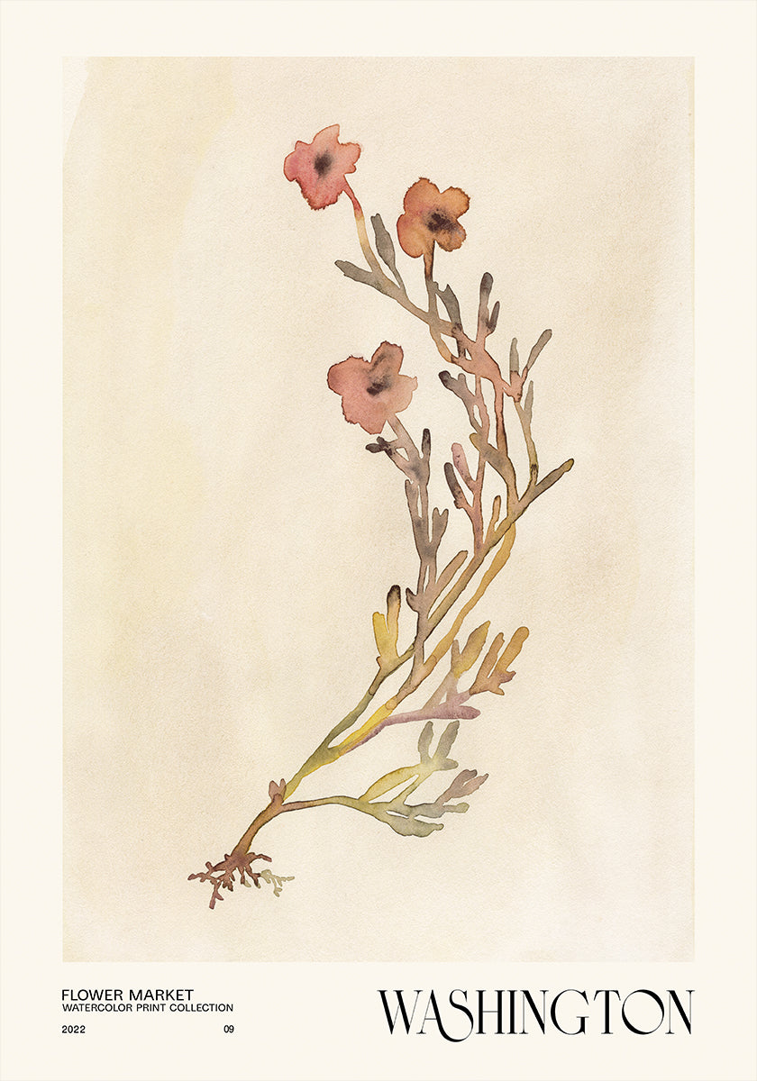 Watercolor print collection. Flower market - Washington - Posterbox