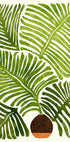 Summer Fern - Posterbox