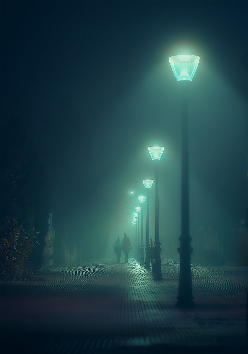 Into the Fog Plakat - Posterbox