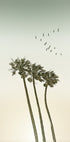 Vintage minimalist palm trees &amp; sunset Plakat - Posterbox