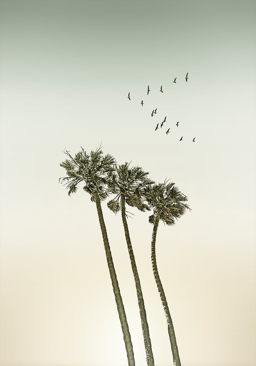 Vintage minimalist palm trees &amp; sunset Plakat - Posterbox