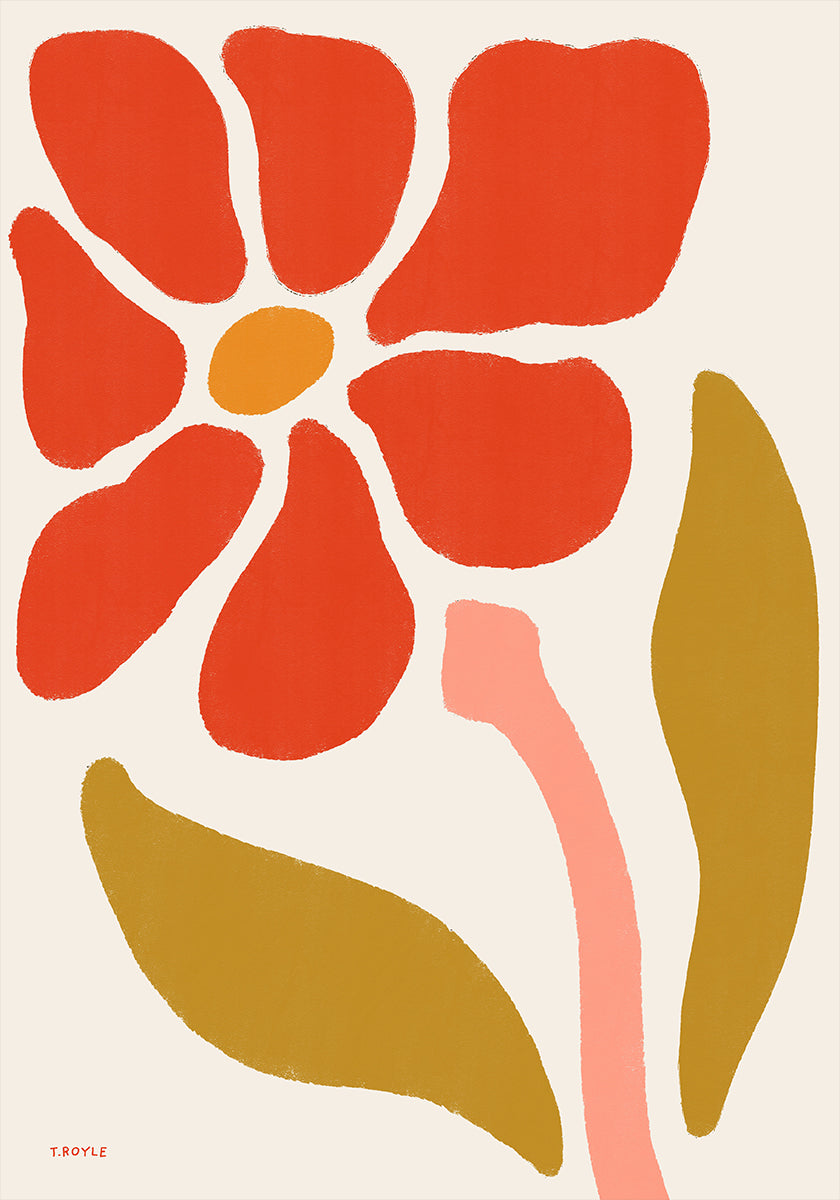 Daisy Flower Plakat - Posterbox