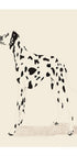 Pandc Dalmation Plakat - Posterbox
