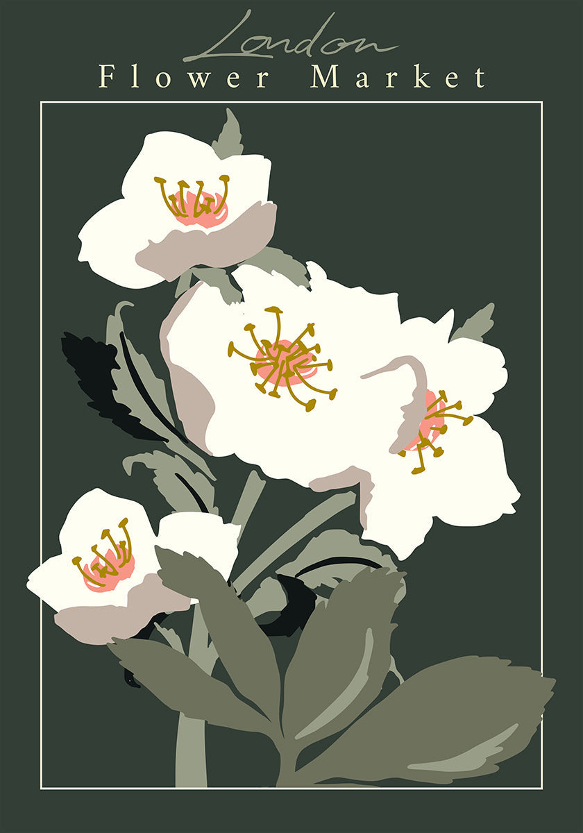 Flower Market London Hellebore Plakat - Posterbox