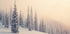 Winter Landscape Snowy Pines Plakat - Posterbox