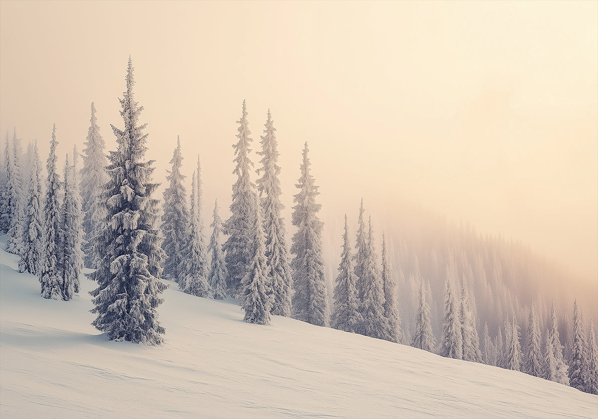 Winter Landscape Snowy Pines Plakat - Posterbox
