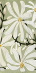 Star Magnolia Florals on Sage background Plakat - Posterbox