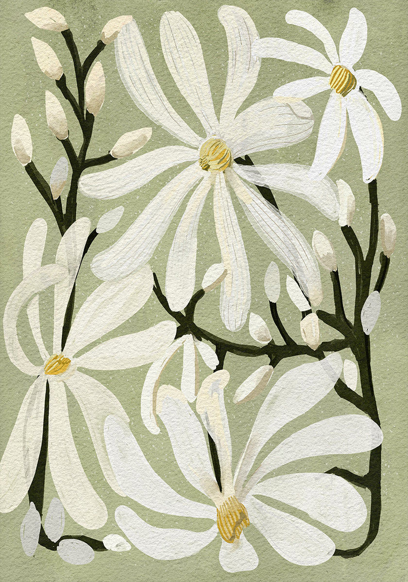 Star Magnolia Florals on Sage background Plakat - Posterbox