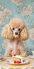 Poodle Sits At A Vintage Tea Table Plakat - Posterbox