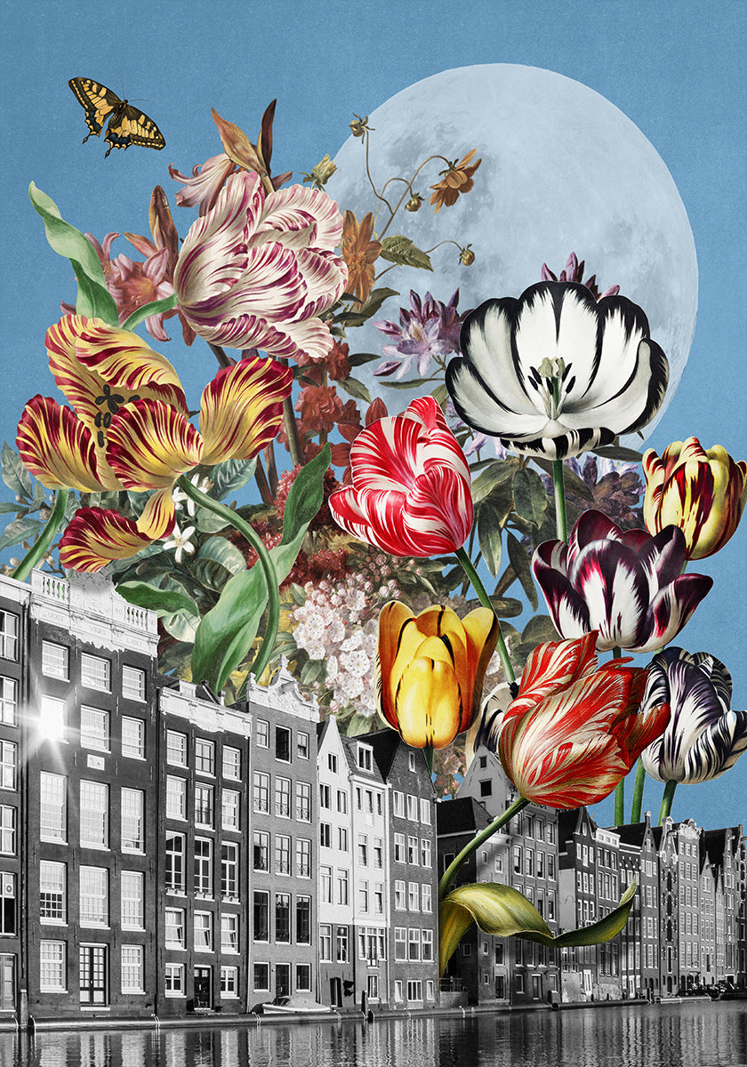 Vibrant Tulips And Intricate Butterflies Plakat - Posterbox
