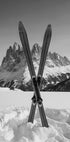 Crossed Skis Plakat - Posterbox