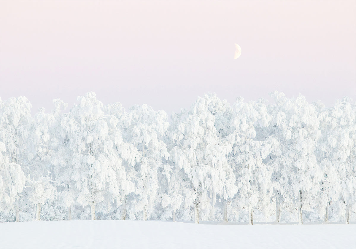 Pink winter magic Plakat - Posterbox