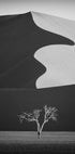 Light & shadow (NEW) - Posterbox