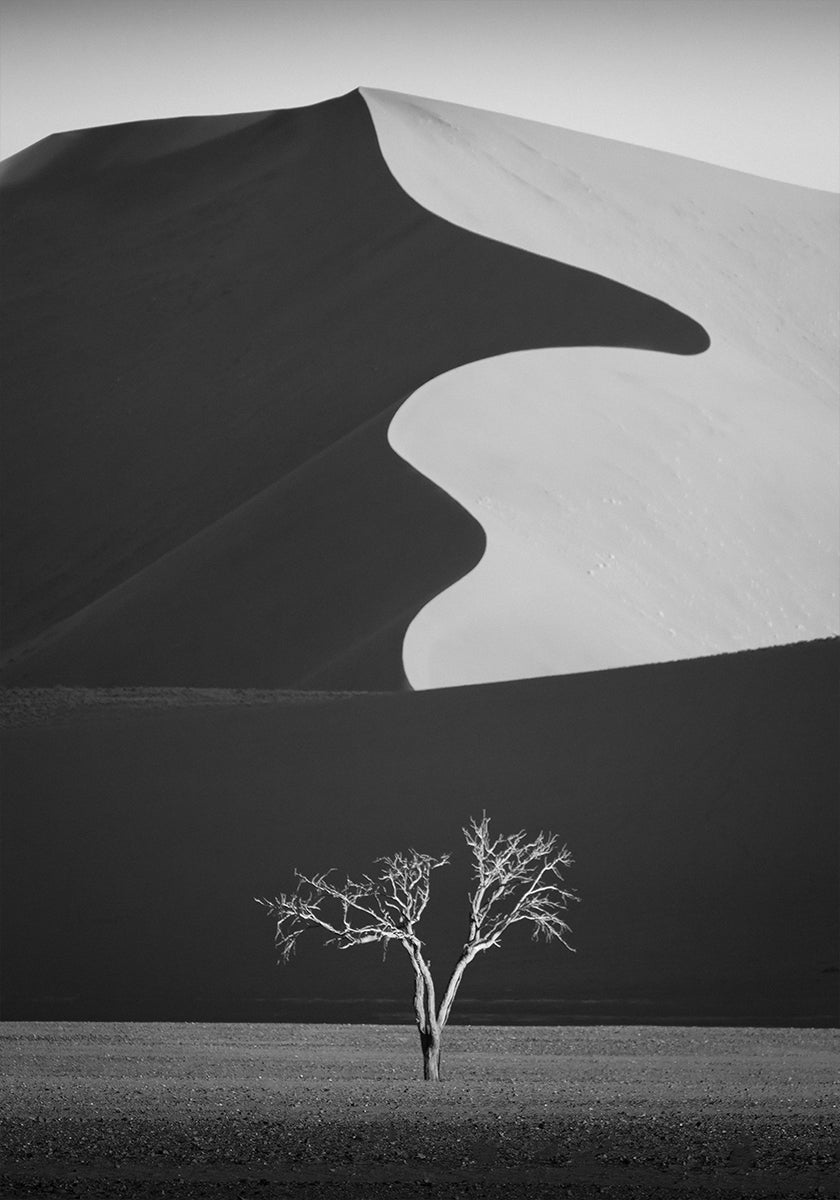 Light & shadow (NEW) - Posterbox