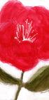 Floral In Red for Cierra Plakat - Posterbox