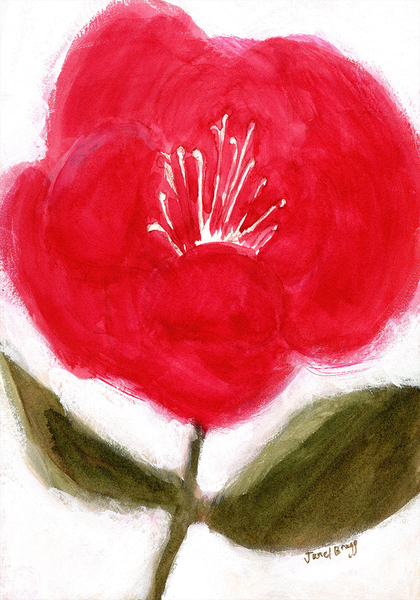 Floral In Red for Cierra Plakat - Posterbox