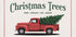 Christmas Trees Plakat - Posterbox