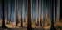 Mystic Wood - Posterbox