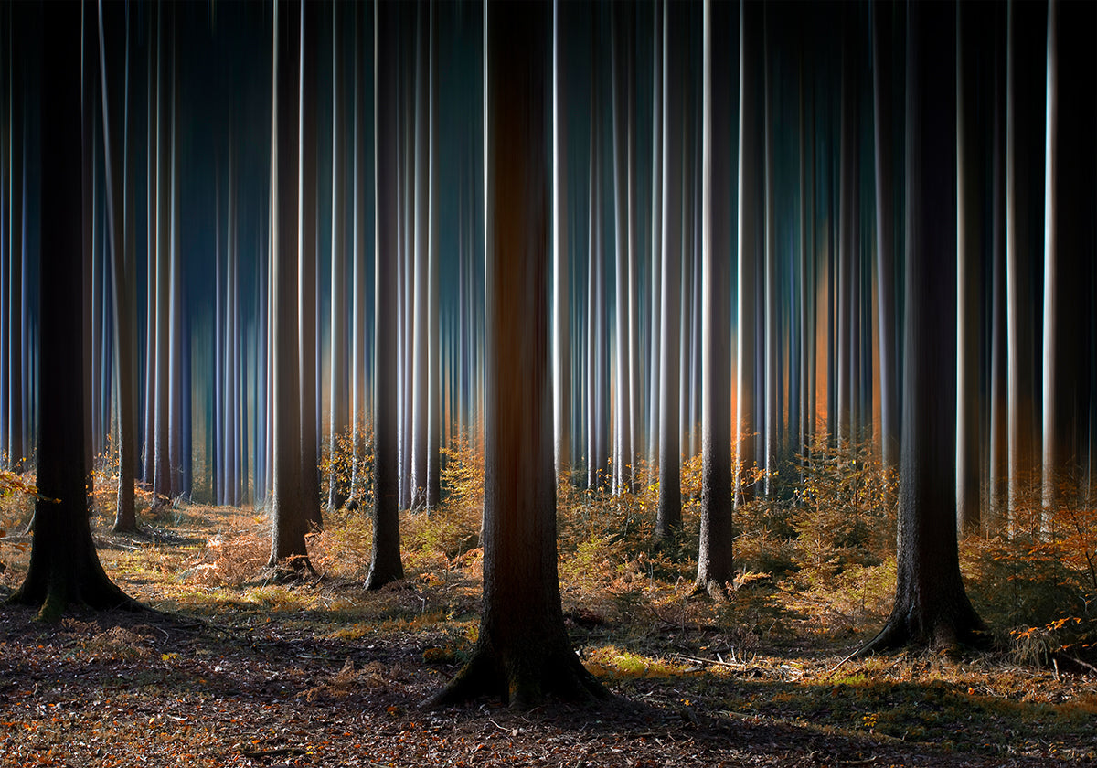 Mystic Wood - Posterbox
