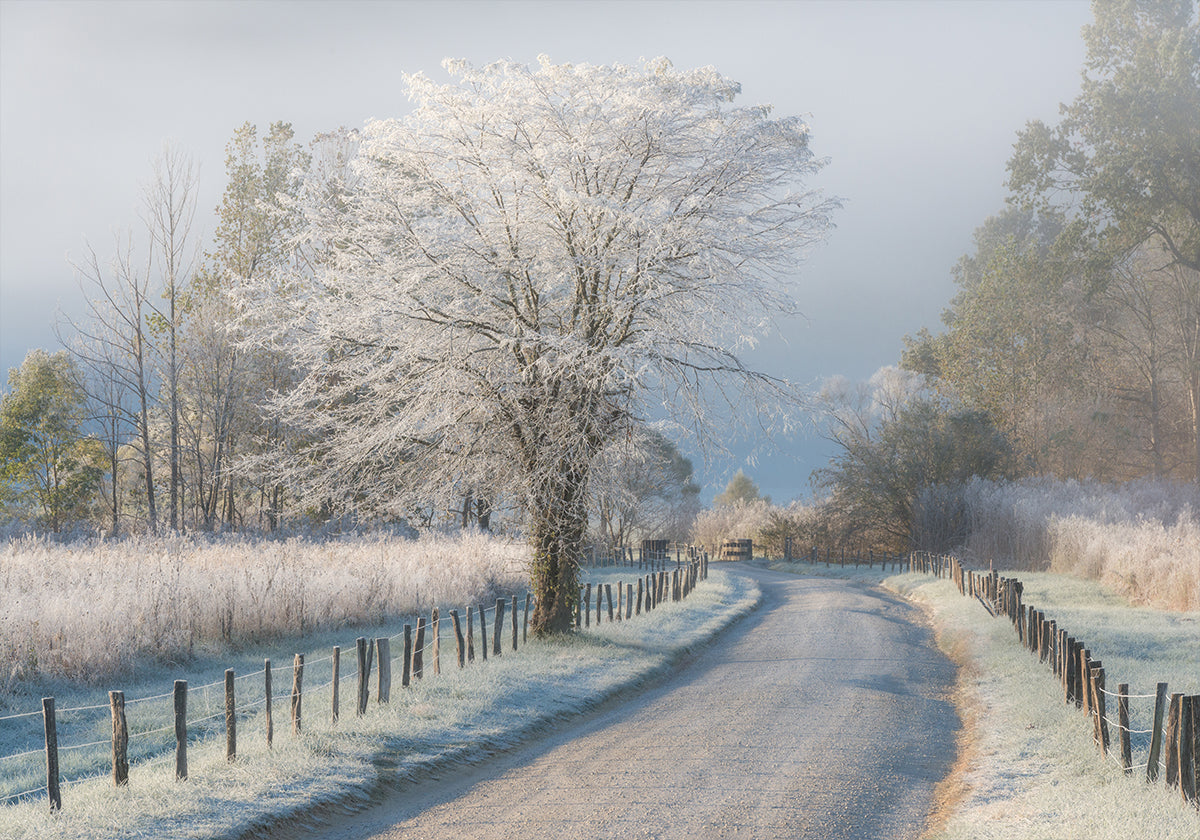 A Frosty Morning Plakat - Posterbox