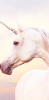 Einhorn-Portrait-Poster - Posterbox.no