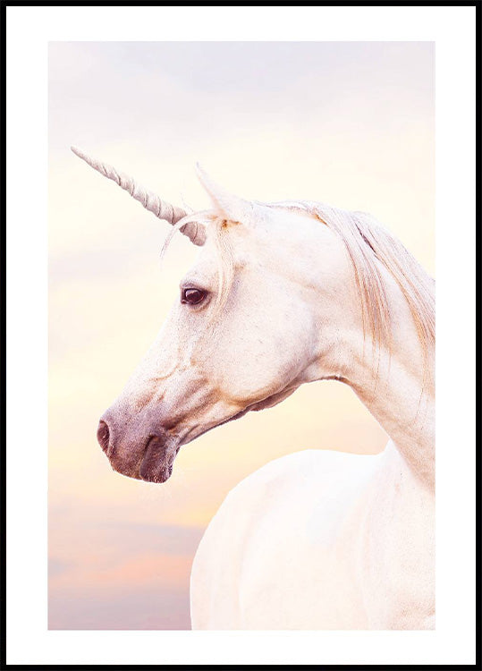Einhorn-Portrait-Poster - Posterbox.no