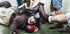 Never Let Go Poster - Posterbox.no