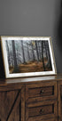 Enchanted forest (NEW) - Posterbox