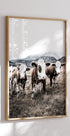 Poster „Rinder im Feld“ - Posterbox.no