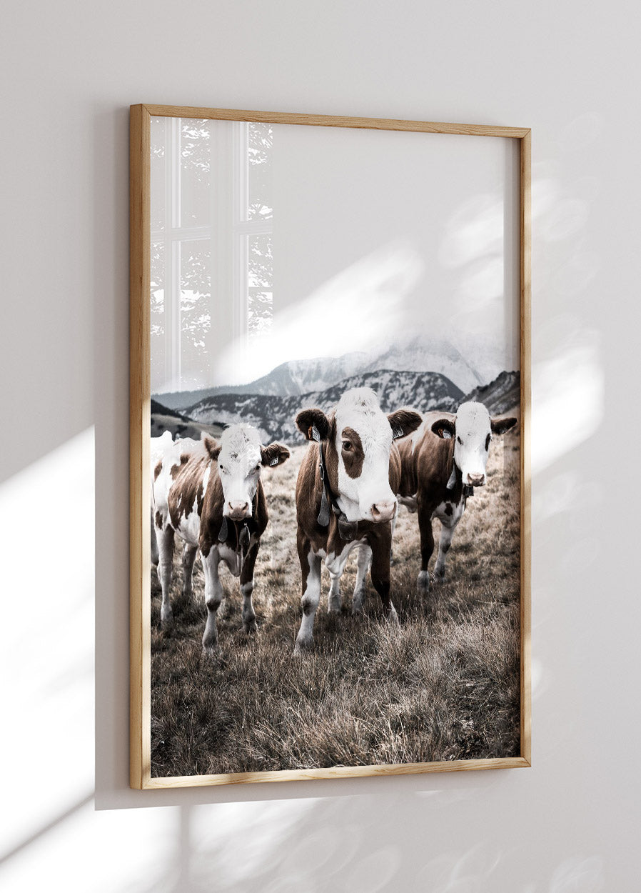 Poster „Rinder im Feld“ - Posterbox.no