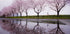 Rain of spring - Posterbox
