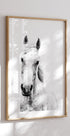 Weißes Pferd Poster - Posterbox.no