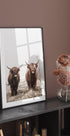 Schottisches Highlanders-Poster - Posterbox.no