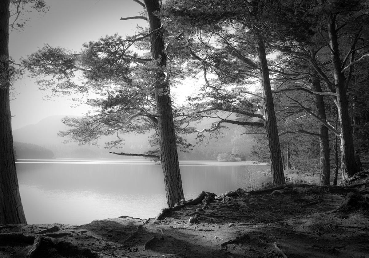 Loch an Eilein - Posterbox