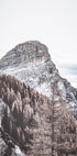 Berglandschaft Poster - Posterbox.no