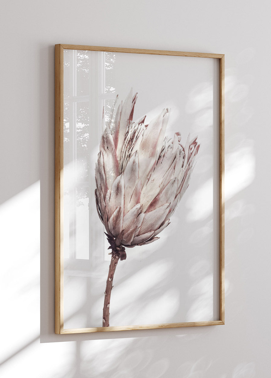 Close Up Trockenblumen-Poster - Posterbox.no