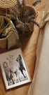 Kamele in der Wüste Poster - Posterbox.no