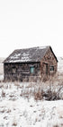 Sandhills Cabin in Snow Poster - Posterbox.no