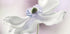 Anemone breeze Plakat - Posterbox