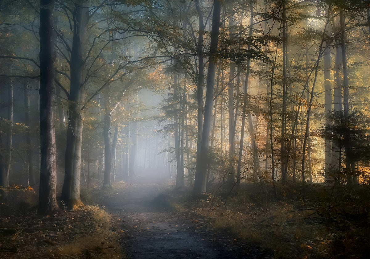 autumn symphony Plakat - Posterbox