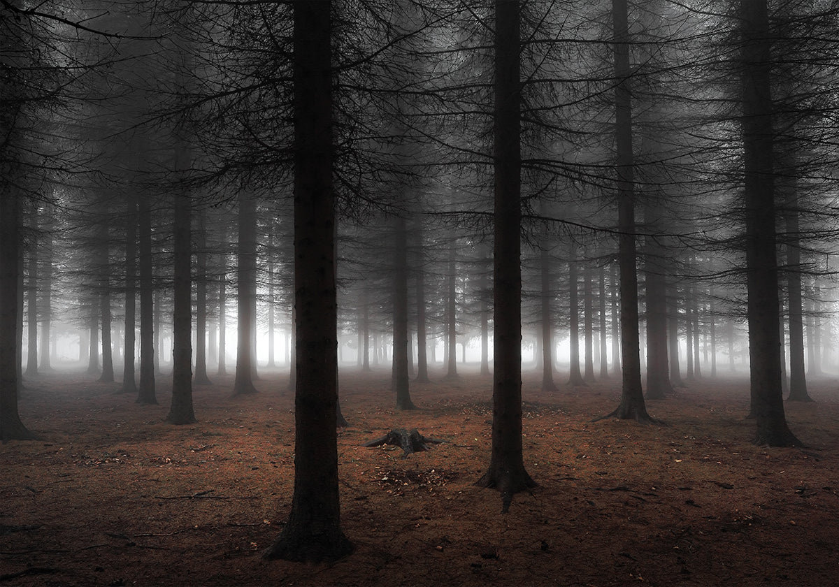 Silence - Posterbox