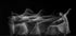 Waves of Balerina - Posterbox