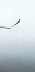Jumping in the Void Poster - Posterbox.no