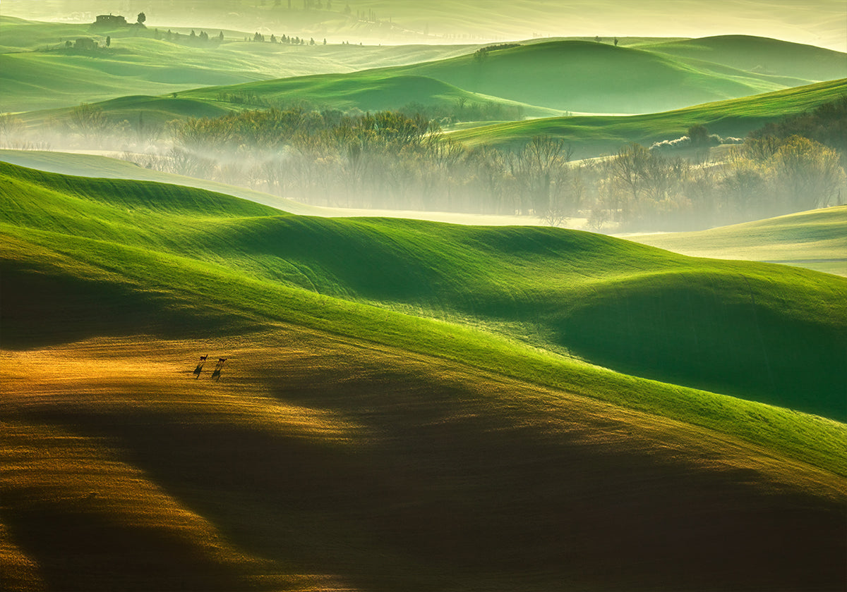 Freedom.... - Posterbox