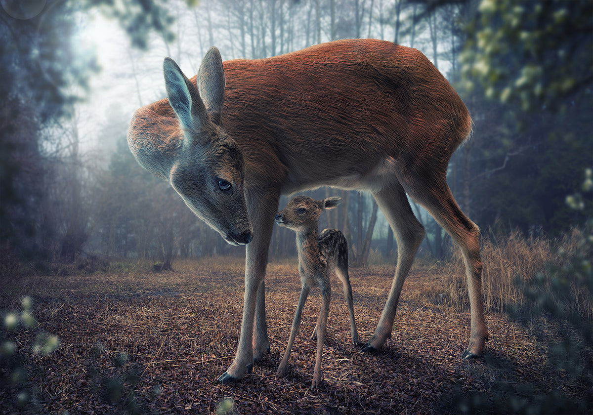 Mother and Fawn - Posterbox